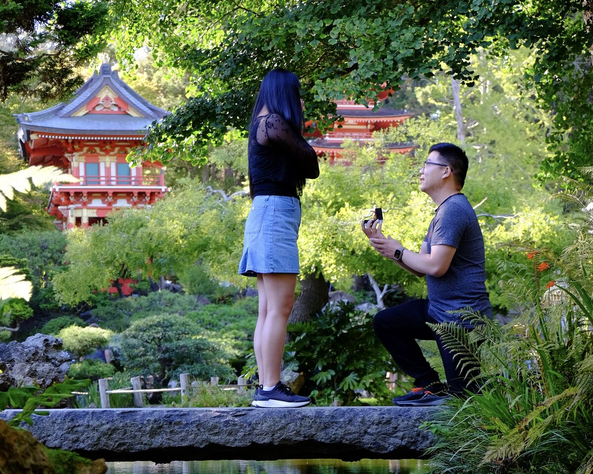 Thomas kneeling to propose to Christine at the Japanese Tea Garden in San Francisco.